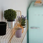 Apartamento Prachtig Duplex Met Balkon Te Wenduine De Haan