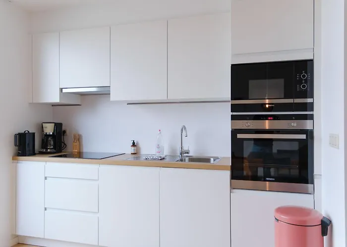 Prachtig Duplex Met Balkon Te Wenduine アパート *